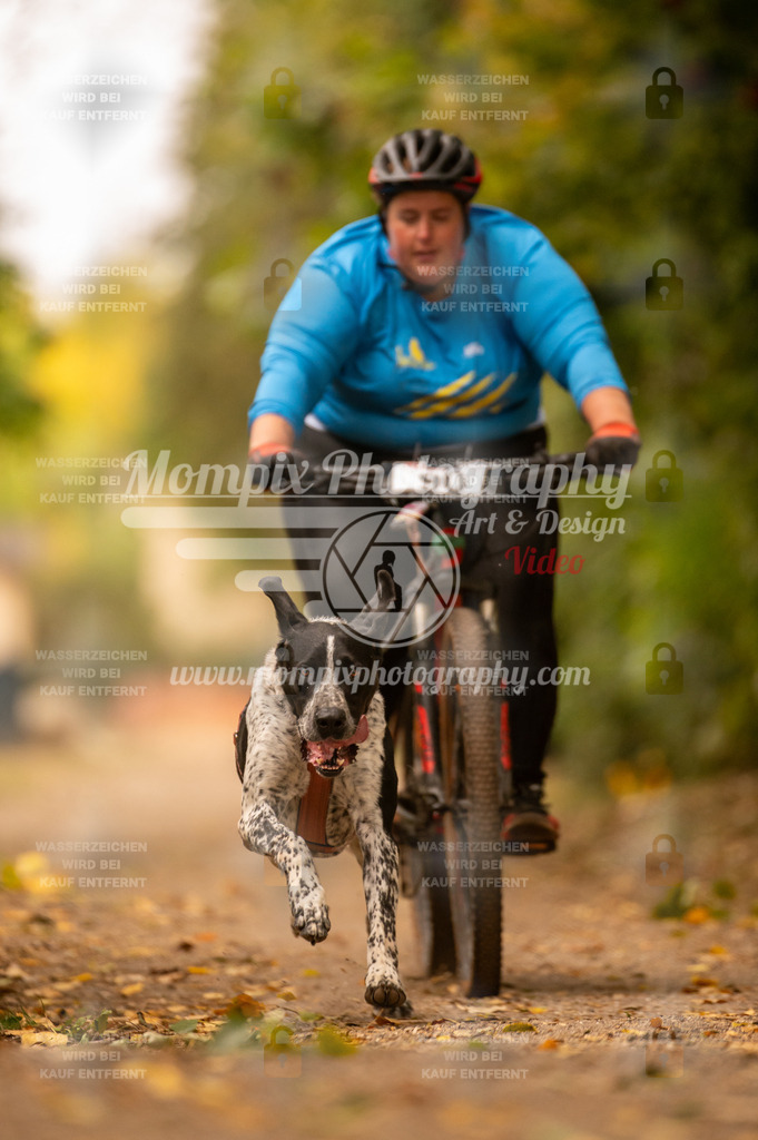CDLBDB_14_10_2023_Samedi-124 | PayLife