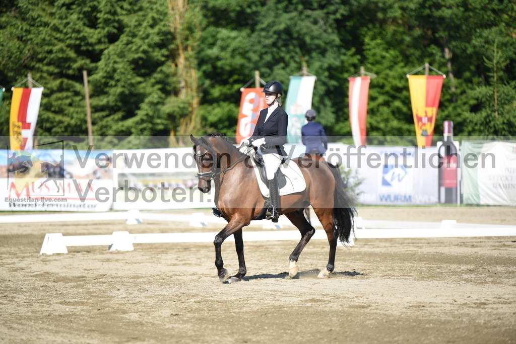 DSC_7137 | equestrian-live-com