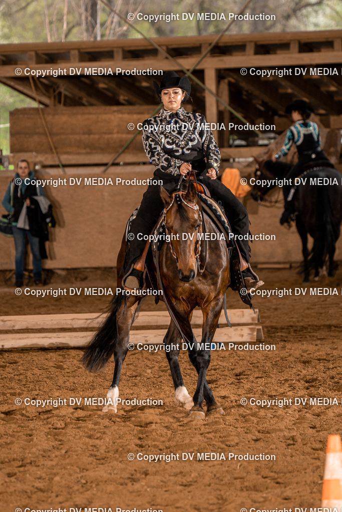 BAL00186 | dv-media-shop - Realisiert mit Pictrs.com