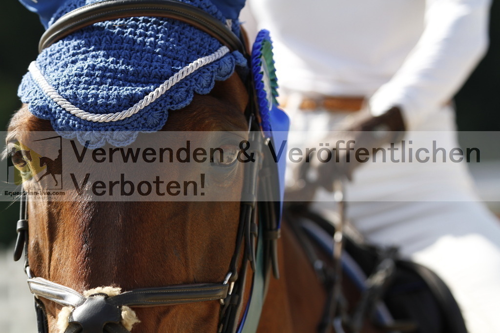_MG_5292 | equestrian-live-com