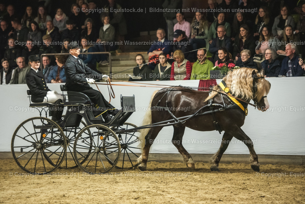 20240302_Hengstvorstellung_Marbach_TOMsPiC_0639 | equistock