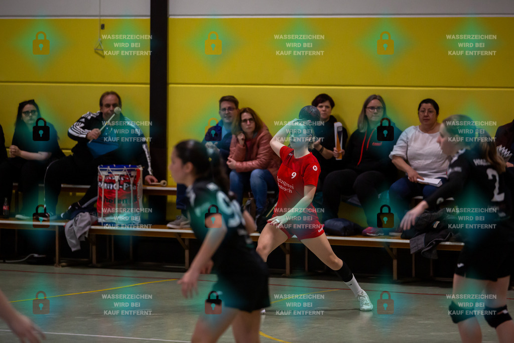 _HP_2201_3000o | JSG Welling-Bassenheim gegen HSG Dudenhofen-Schifferstadt 09.03.2024