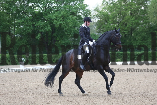 Böblingen_2023_Prfg_Nr.01_Dressur_Kl.S_Kür_Frederik Leon Steisslinger_Quattani (11) | Alle Fotos der Reiterjournal Fotografin Doris Matthaes im Reiterjournal Online-Fotoshop. - Realisiert mit Pictrs.com
