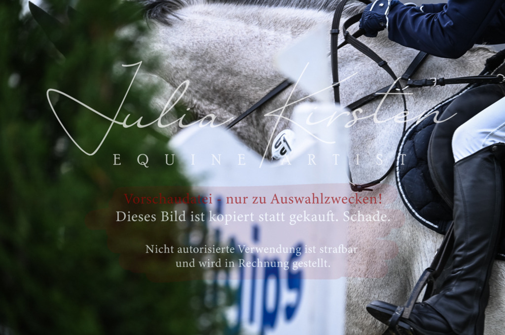 DSC_8155 | Pferde- und Turnierfotografie in Westsachsen. Pferdeportraits, Auftragszeichnungen und intuitive Kunst.