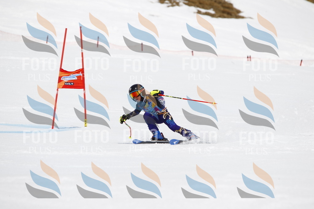 _U3G7082 | holidayphoto