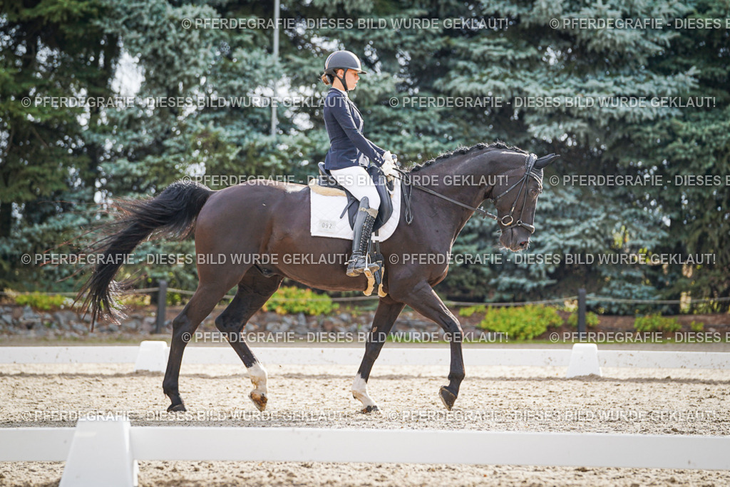 DSC00938 | Pferdegrafie