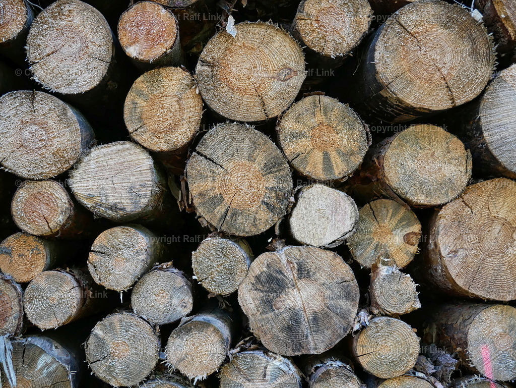 P1000300 | Stockfotos, Fotos mit Miniaturfiguren und kreativen Ideen. Dabei auch vieles aus der Metropolregion Rhein-Neckar. 