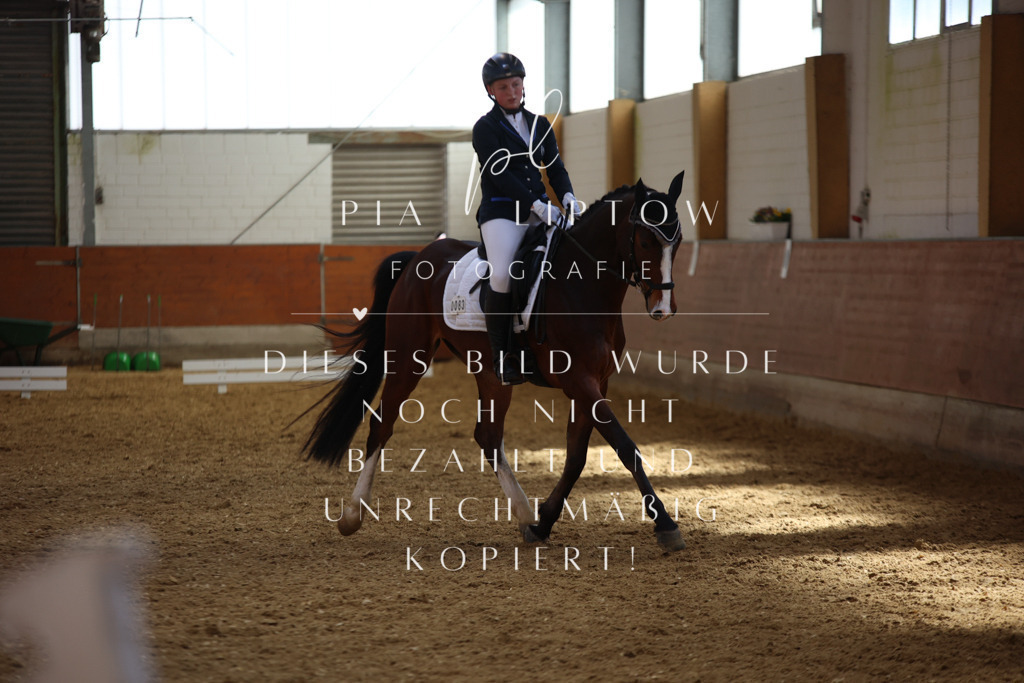 IMGT4484 | pl-fotografie