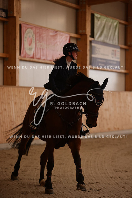 1J2A2300Lilli Plath_ Stakkato_s Diva_ Kn453_ Hohen Wieschendorf_ Glantz | Foto- und Videografie für alles rund ums Pferd. Hochwertige Bilder und Videos vom Spring- und Dressurreiten, Voltigieren & mehr. Jetzt aktuelle Veranstaltungen und Preise im Shop ansehen. - Realisiert mit Pictrs.com