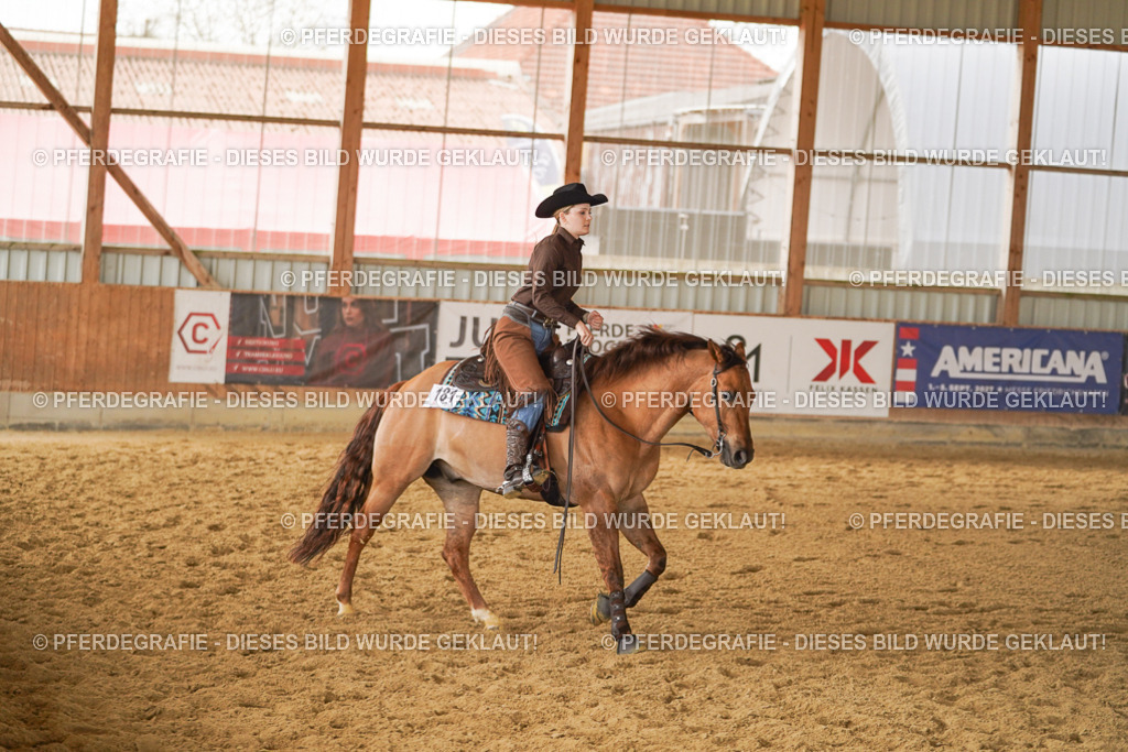 DSC04669 | Pferdegrafie