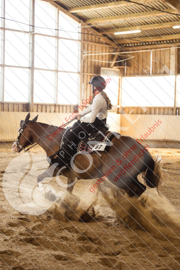 IMG_5007 | Sport-, Event- und Tierfotos in Profiqualität. Einfach auswählen, bestellen und herunterladen. Dein Moment – perfekt festgehalten.