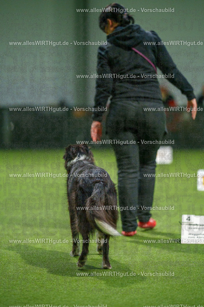 7R507266 | Professionelle Tierfotografie in Mönchengladbach von Daniel Wirth (allesWIRTHgut). Liebevolle & natürliche Bilder von Hunden & Katzen für unvergessliche Erinnerungen.