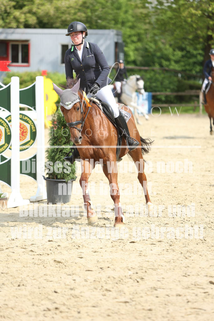 IMGM5984 | pl-fotografie