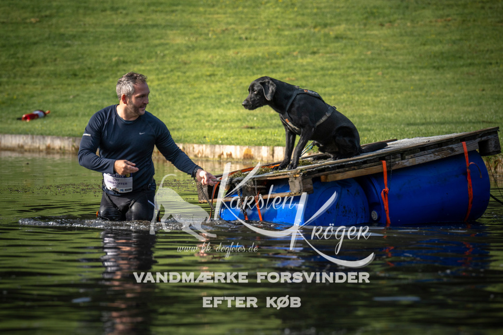 _ZZ941300712 | kk-dogfotos
