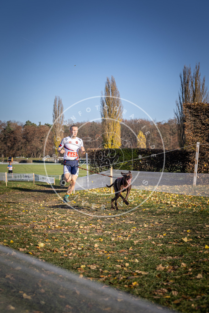 CaniXpix_DV3A0704 | Hundefotografie, Tierfotograf, Pfotenfotografie, Fotoshooting Hund, Hunde Portrait, Hundesport, Hundeportraits, Heideshooting, Hunde, Sportfotograf, Hundefotograf, Turnierhundsport, THS,  - Realisiert mit Pictrs.com