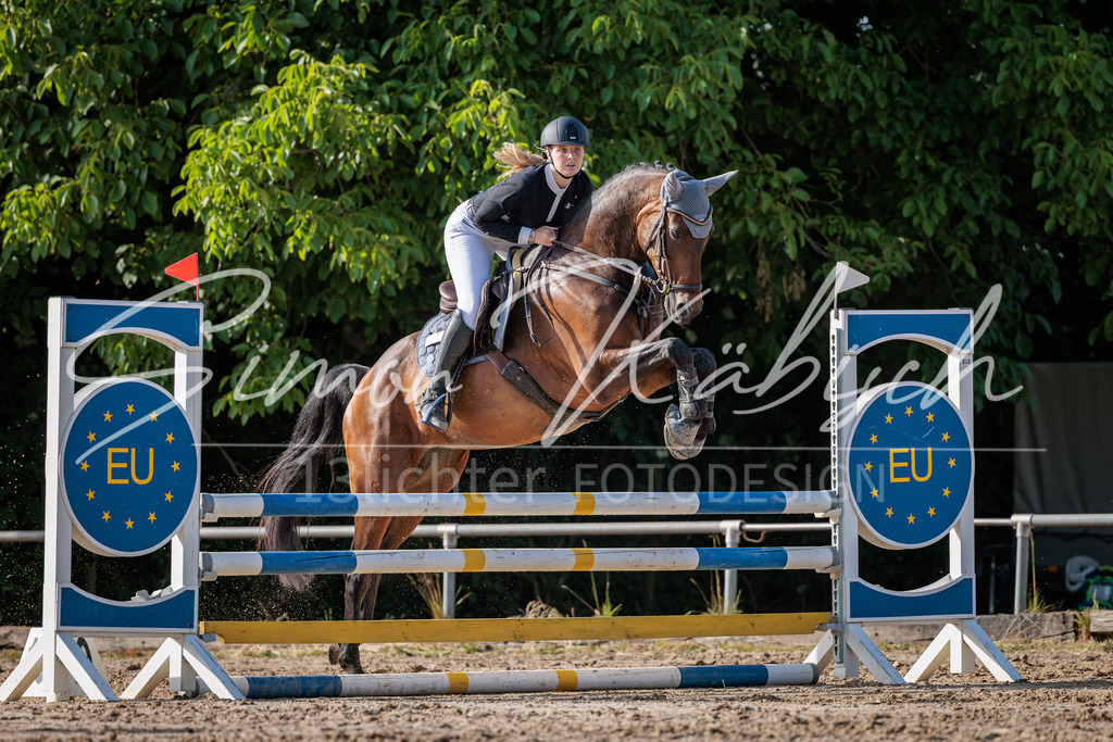 20260529-_3LI0410 | Tierfotografie Pferde, Hunde, Katzen, Haustiere.
Turnierfotografie Reitturniere, Reiten, Springreiten, Dressur in Hanau, dem Main-Kinzig-Kreis und dem Rhein-Main- Gebiet um Frankfurt
