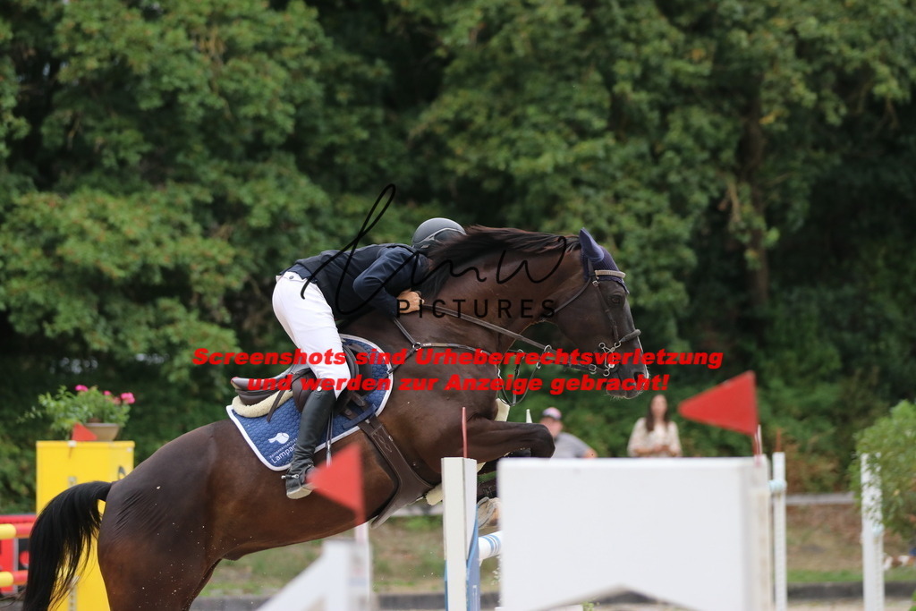 IMG_2906 | lmwpictures - Realisiert mit Pictrs.com