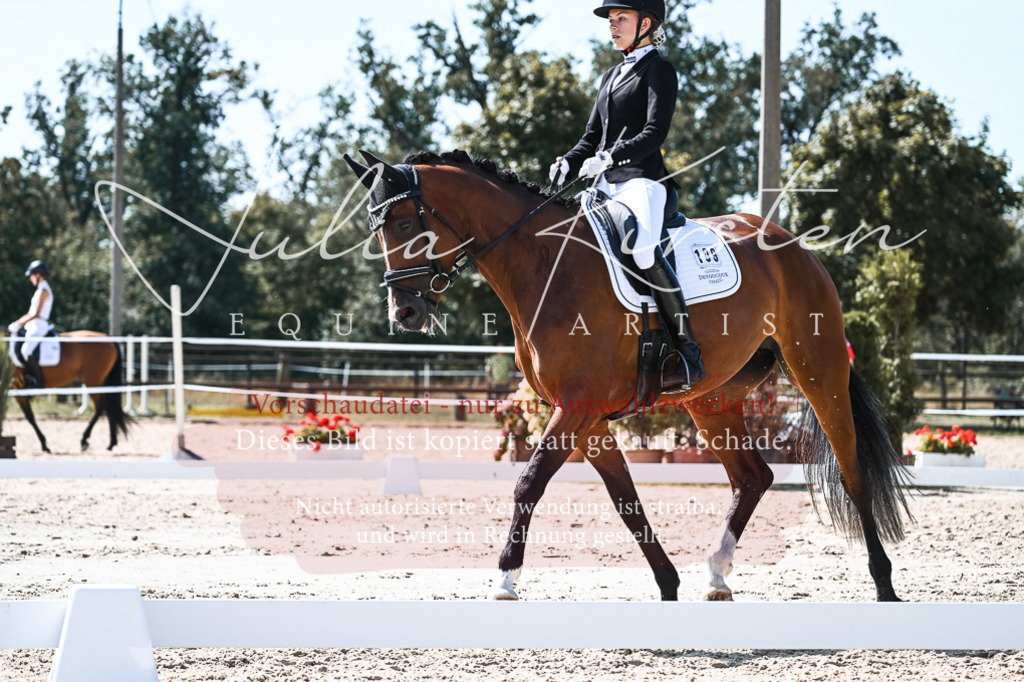 DSC_5070 | Pferde- und Turnierfotografie in Westsachsen. Pferdeportraits, Auftragszeichnungen und intuitive Kunst.