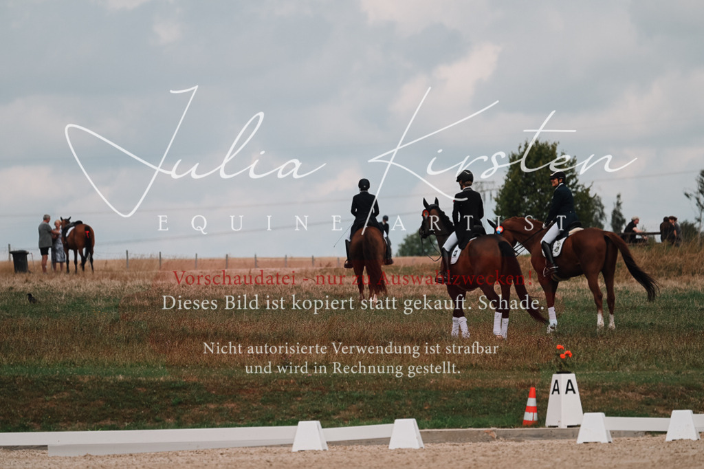 DSC_4147 | Pferde- und Turnierfotografie in Westsachsen. Pferdeportraits, Auftragszeichnungen und intuitive Kunst.