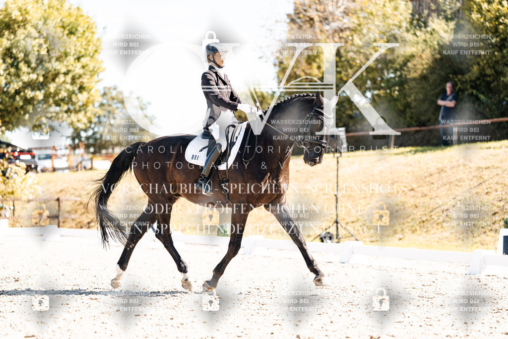 CK909881 | Turnierfotografie Pferdefotografie Trier Rheinland-Pfalz Pferdesport Reitsport Tierfotografie Sportfotografie Pferdevideo Pferdevideografie Equestrianvideography equestrianphotography  - Realisiert mit Pictrs.com