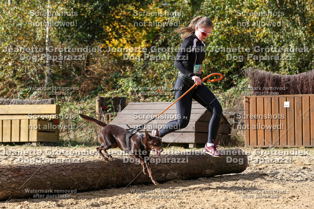 Dog Paparazzi - Strongdog 10-25-5682 | Dog Paparazzi Jeanette Grottendiek Fotografie & Videografie - Realisiert mit Pictrs.com