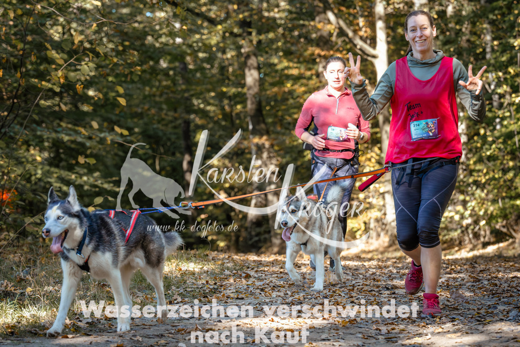 1202_ZZ94000 | kk-dogfotos