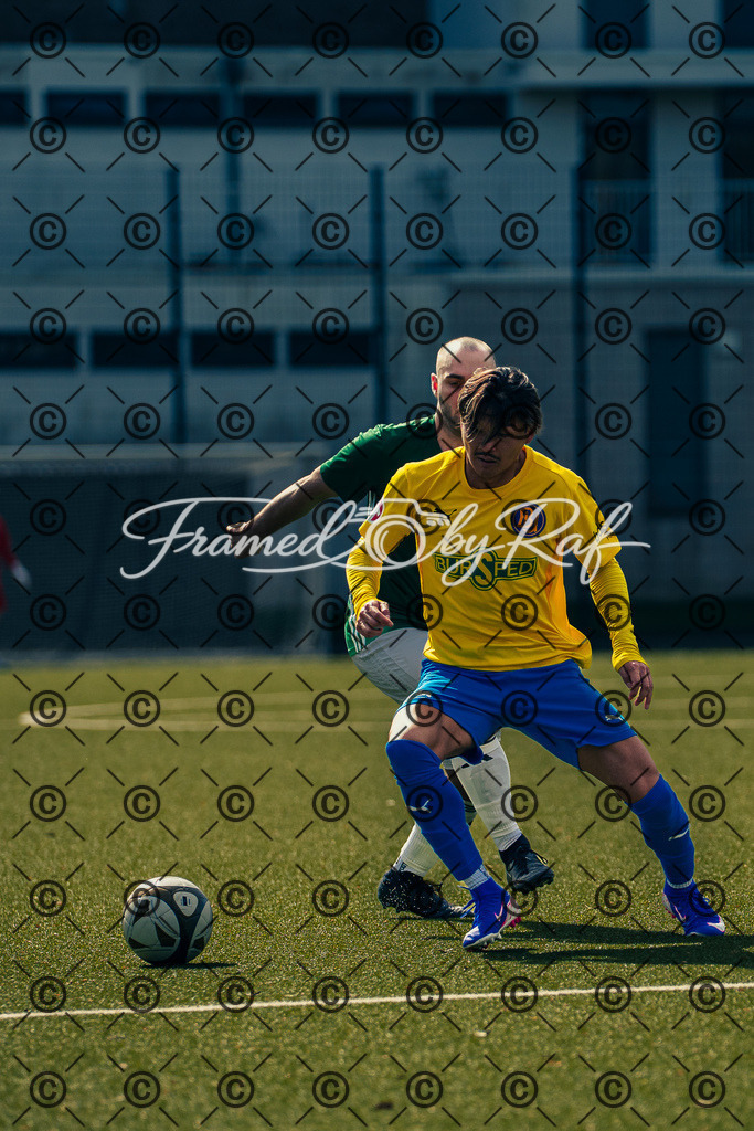 DSC05780 | Professioneller Online-Store für hochwertige Fotografie: Entdecke einzigartige Bilder aus Street, Events und Lifestyle. Sichere dir exklusive Prints und digitale Downloads in bester Qualität für dein Zuhause oder Projekte. - Realisiert mit Pictrs.com