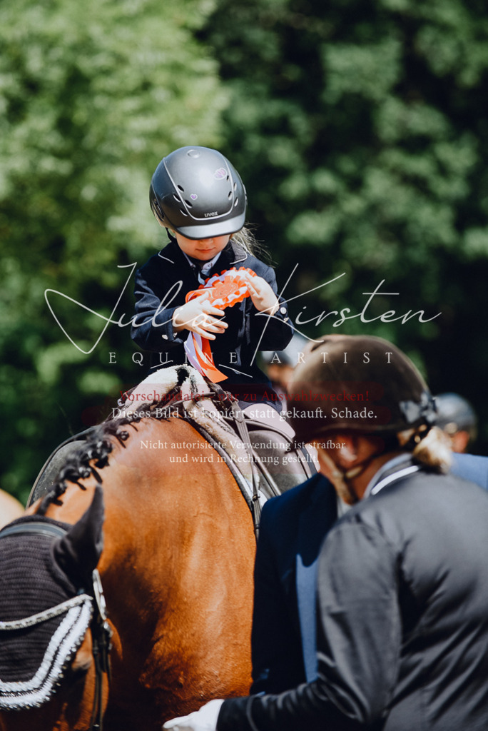 DSC_2650 | Pferde- und Turnierfotografie in Westsachsen. Pferdeportraits, Auftragszeichnungen und intuitive Kunst.
