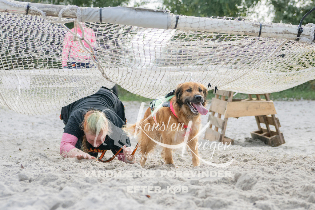 1338_ZZ98088 | kk-dogfotos
