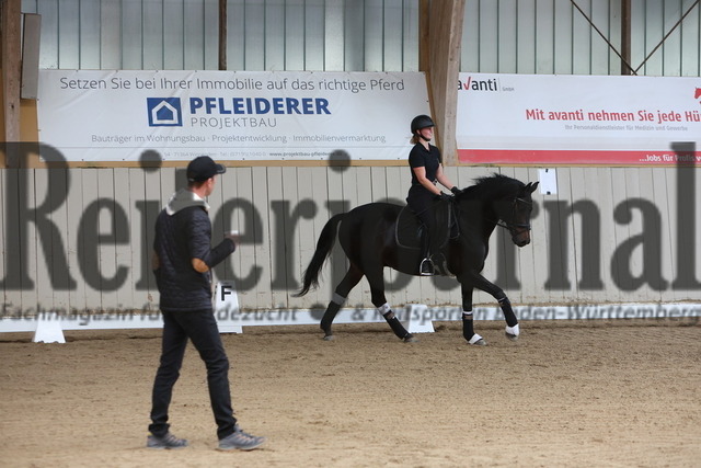 Ludwigsburg_2023_Lehrgang_Benjamin_Werndl_Gruppe_01 (17) | Alle Fotos der Reiterjournal Fotografin Doris Matthaes im Reiterjournal Online-Fotoshop. - Realisiert mit Pictrs.com