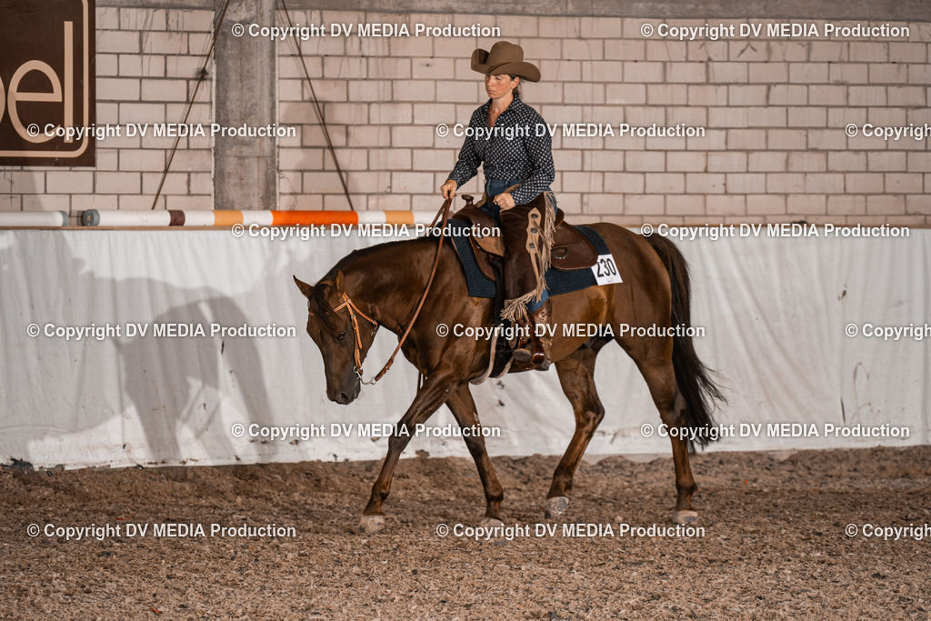 ZH200866 | dv-media-shop - Realisiert mit Pictrs.com