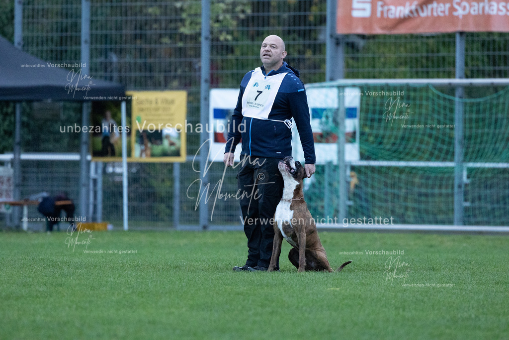 _16A4402 | Einzigartige Fotos von Hunden & Menschen –Actionfotos, Portraits, Vereinsaufnahmen & Paarshootings – authentisch, lebendig & mit Herz.