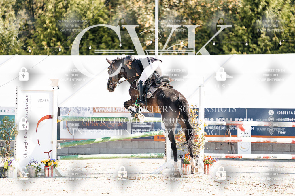 CK901921 | Turnierfotografie Pferdefotografie Trier Rheinland-Pfalz Pferdesport Reitsport Tierfotografie Sportfotografie Pferdevideo Pferdevideografie Equestrianvideography equestrianphotography  - Realisiert mit Pictrs.com