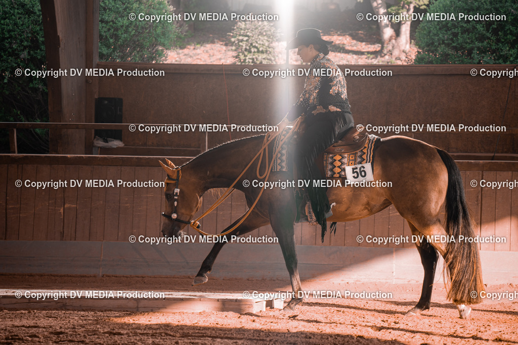 NE300036 | dv-media-shop - Realisiert mit Pictrs.com