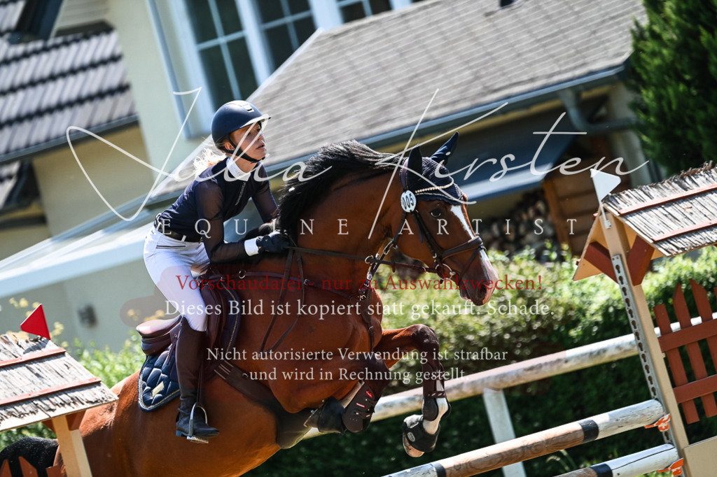 DSC_0194 | Pferde- und Turnierfotografie in Westsachsen. Pferdeportraits, Auftragszeichnungen und intuitive Kunst.