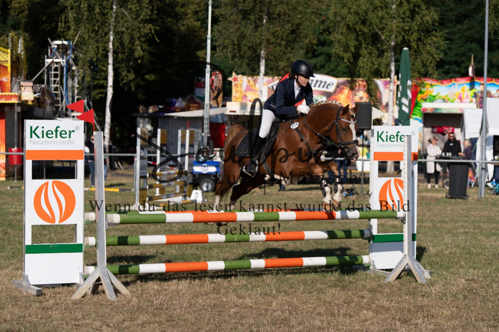 A7V08243 | Pferdefotograf