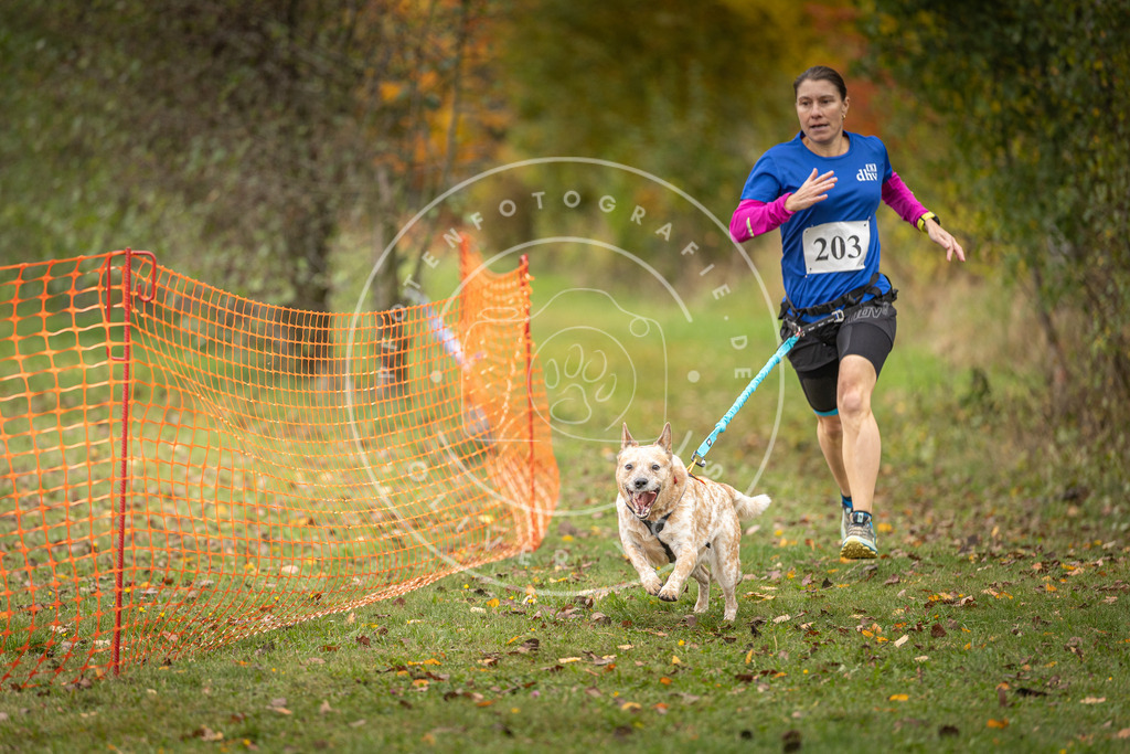 Pfotenfotografie_DV3A4094 | Hundefotografie, Tierfotograf, Pfotenfotografie, Fotoshooting Hund, Hunde Portrait, Hundesport, Hundeportraits, Heideshooting, Hunde, Sportfotograf, Hundefotograf, Turnierhundsport, THS,  - Realisiert mit Pictrs.com