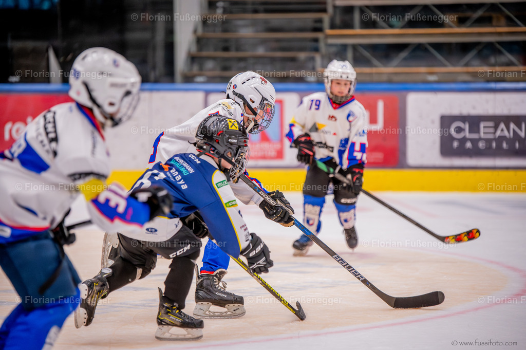 DSC_6425 | "Fussifoto.com – Ihr Ansprechpartner für hochwertige Fotografie! Entdecken Sie kreative Bilder und professionelle Dienstleistungen. Kontaktieren Sie uns für Ihre Projekte!"