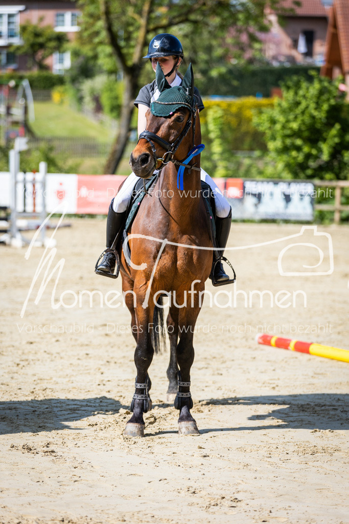 Donop24-ESpr-109 | MomenTaufnahmen Pferdesportfotos