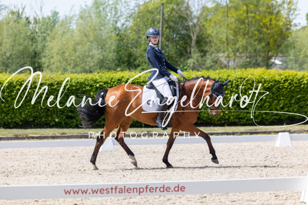 7I8A0341 | melanie-engelhardt-photography - Realisiert mit Pictrs.com