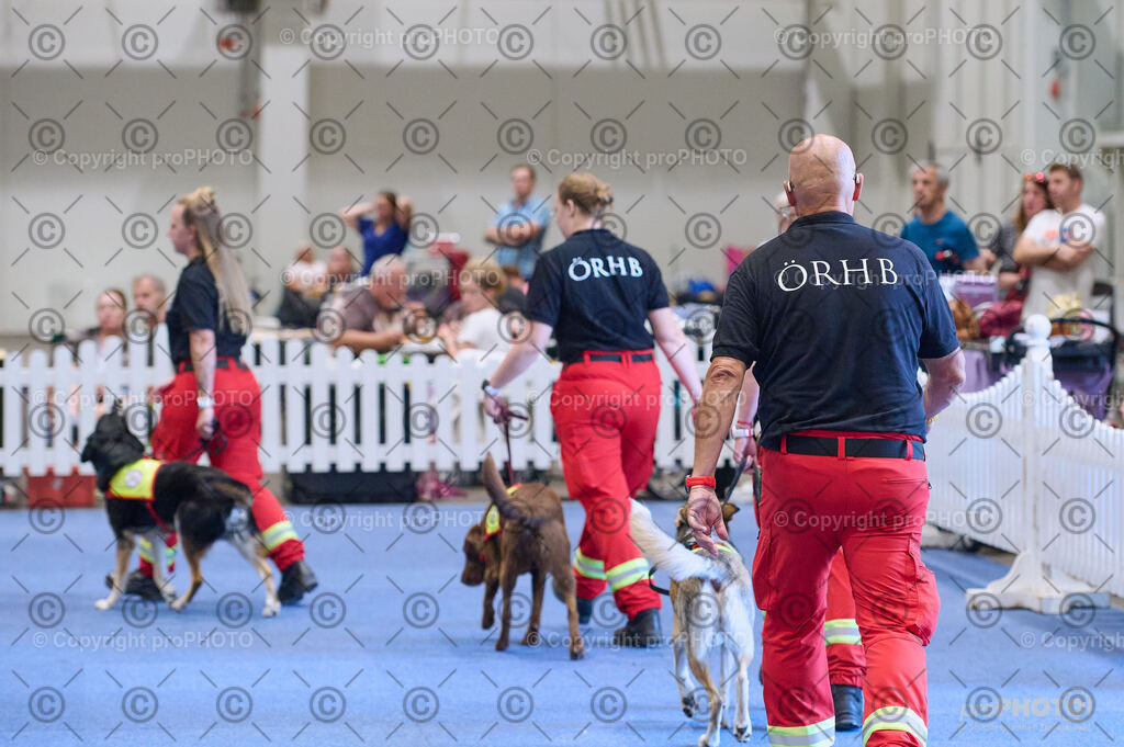 202406_ÖKV-IHA-Tulln24_DSC_3425 | proPHOTO - Realisiert mit Pictrs.com