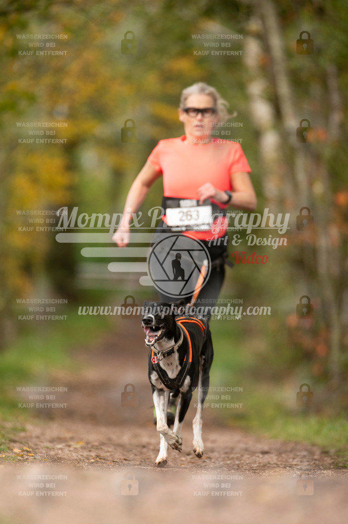 TSB_2023_E4_Canicross-100 | PayLife