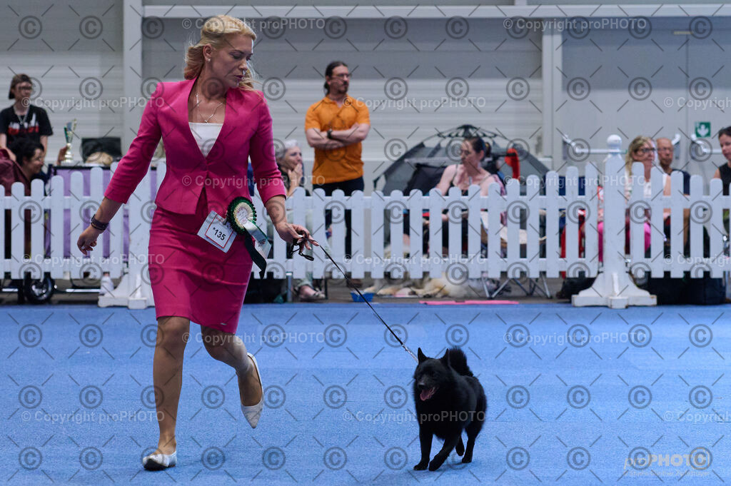 202406_ÖKV-IHA-Tulln24_DSC_3809 | proPHOTO - Realisiert mit Pictrs.com