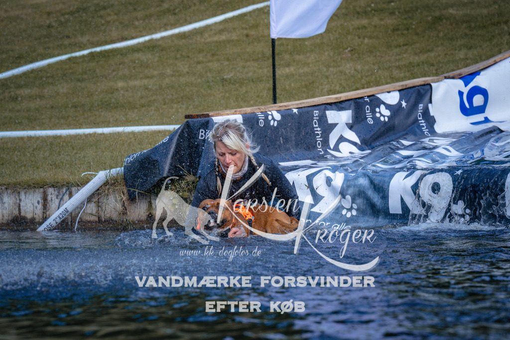 _ZZ971770742 | kk-dogfotos