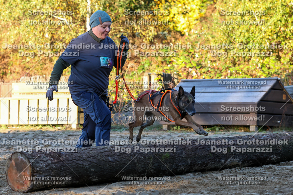 Dog Paparazzi - Strongdog 10-25-645 | Dog Paparazzi Jeanette Grottendiek Fotografie & Videografie - Realisiert mit Pictrs.com