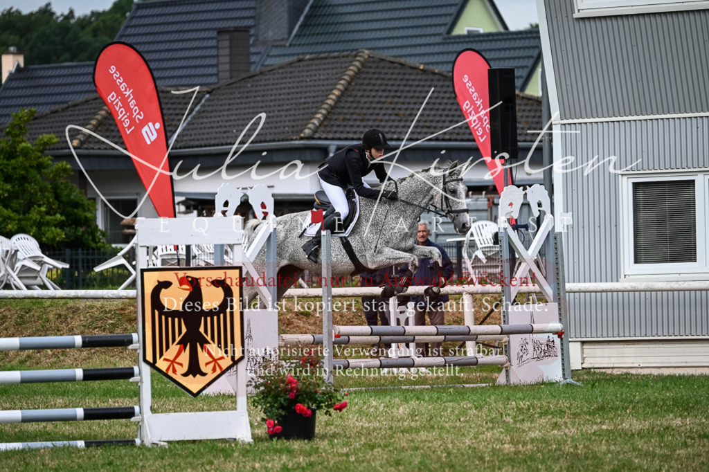 DSC_8332 | Pferde- und Turnierfotografie in Westsachsen. Pferdeportraits, Auftragszeichnungen und intuitive Kunst.