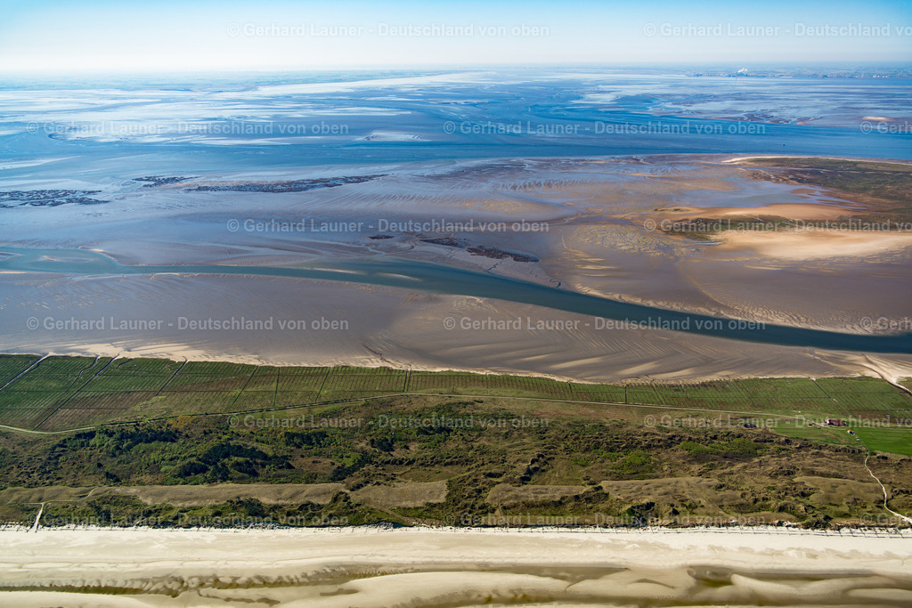 3801451 | Juist, Nationalpark Niedersächsisches Wattenmeer