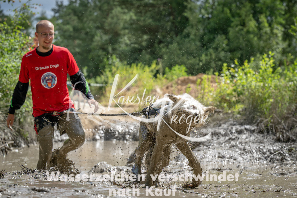 1506_ZZ92954 | kk-dogfotos