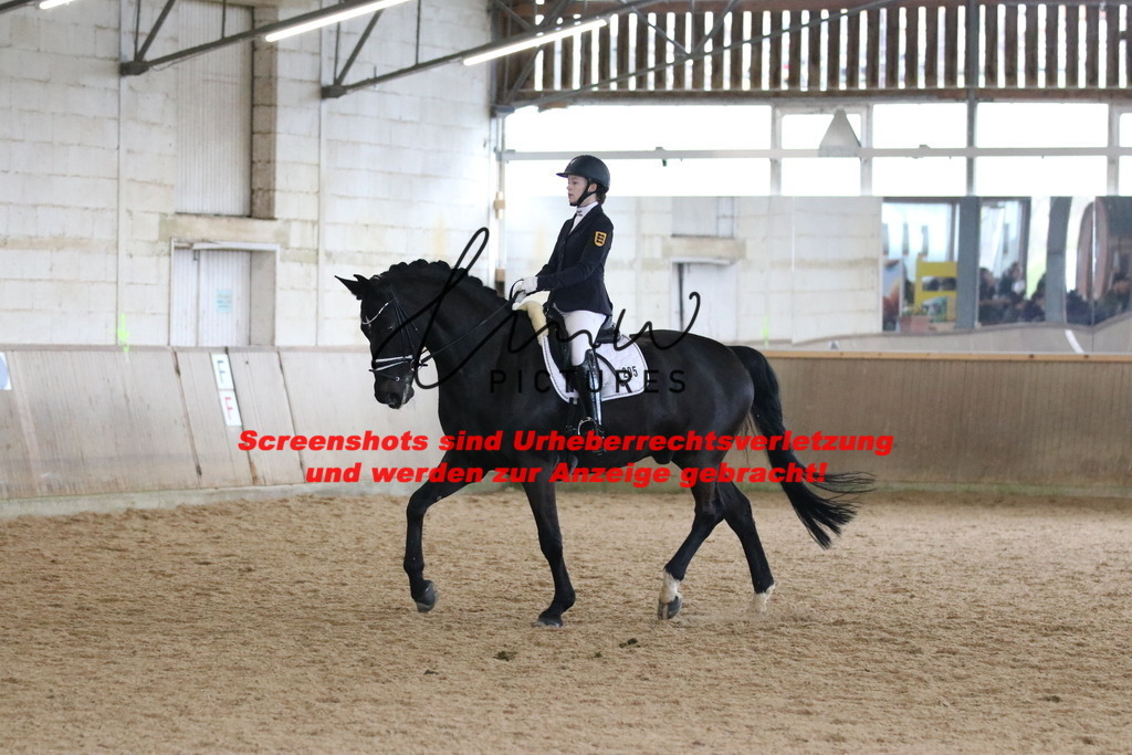 IMG_7663 | lmwpictures - Realisiert mit Pictrs.com