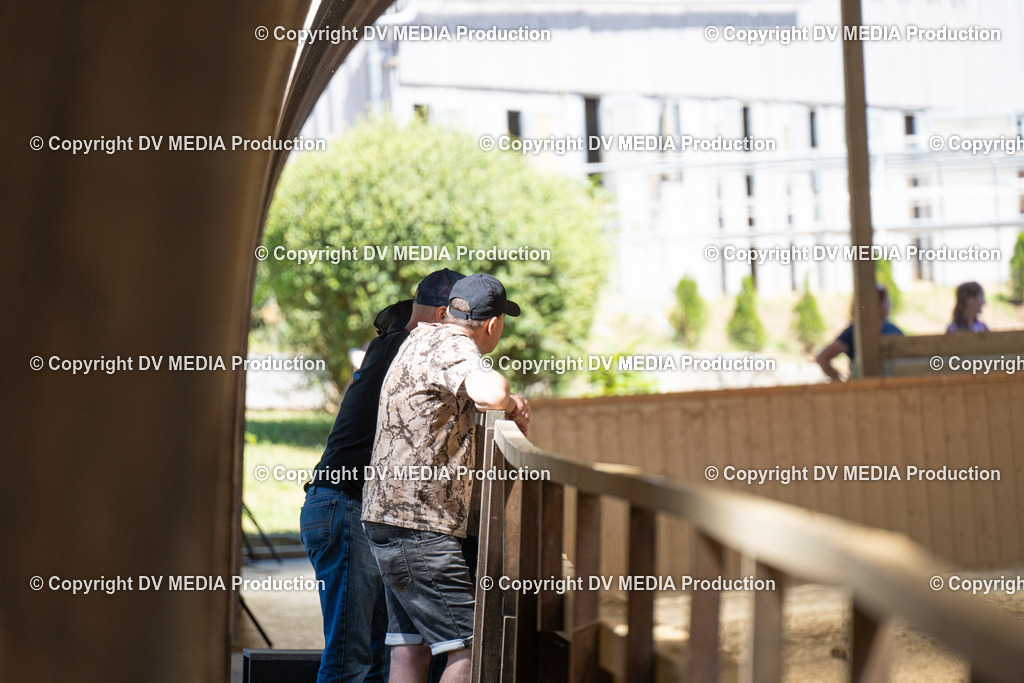 DSC00036 | dv-media-shop - Realisiert mit Pictrs.com